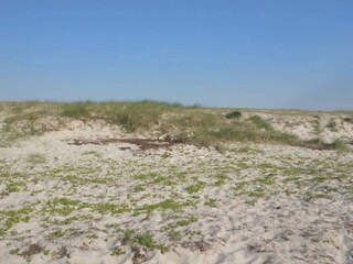 Maison de vacances Havnsø  5