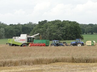 Appartamento per vacanze Groß Gievitz Ambiente 19