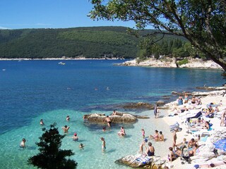 Ferienhaus Raša Umgebung 42