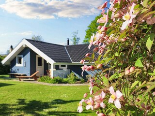 Vakantiehuis Køge  18