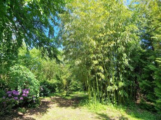 Vakantiehuis Køge  22