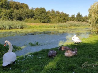 Vakantiehuis Køge  25