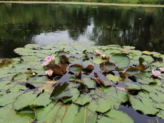 Vakantiehuis Køge  27