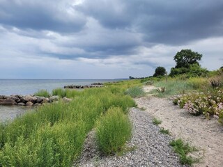 Vakantiehuis Køge  29