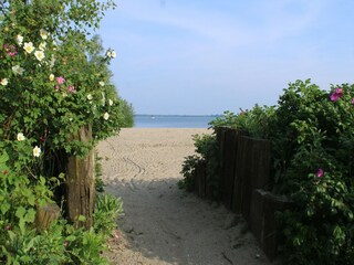 Villa Biddinghuizen Omgeving 32