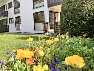 Blumenmeer vor dem Balkon