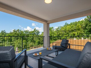 Villa Pićan Caratteristiche 24