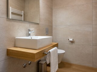 Villa Pićan Caratteristiche 32