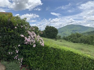 Casale Montieri Registrazione all'aperto 11