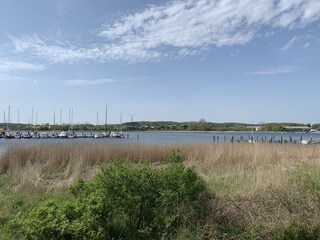 Vakantiehuis Kappeln Omgeving 21