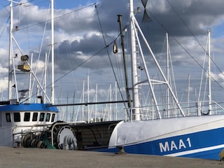 Hafen in Maasholm