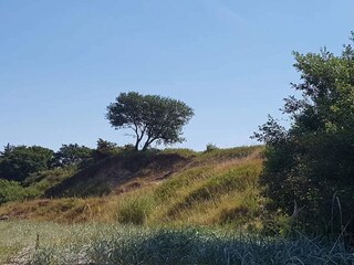 Casa per le vacanze Brenderup  30