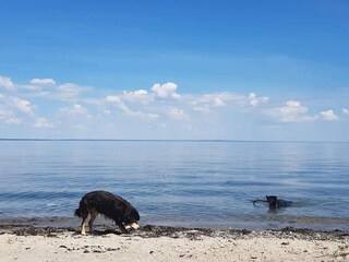 Casa per le vacanze Brenderup  31