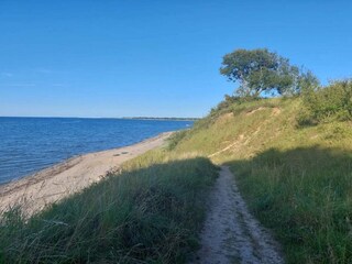 Vakantiehuis Brenderup  6