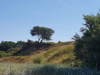 Vakantiehuis Brenderup  55