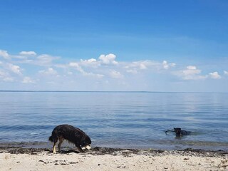 Casa de vacaciones Brenderup  39