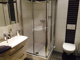 Appartamento per vacanze Attersee am Attersee Caratteristiche 14