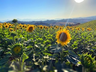 Ferienhaus Matelica Umgebung 28