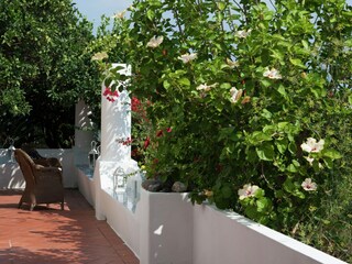 Vakantiehuis Lingua Buitenaudio-opname 6