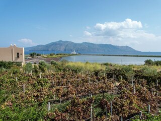 Casa per le vacanze Lingua Ambiente 24