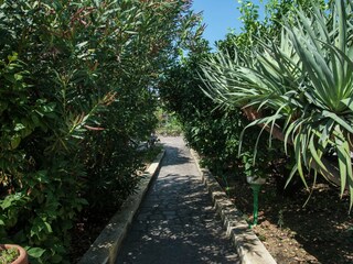 Casa per le vacanze Lingua Registrazione all'aperto 7