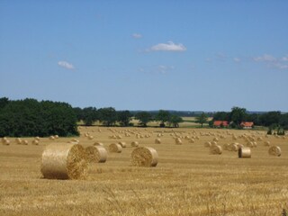 Appartamento per vacanze Groß Gievitz Ambiente 17