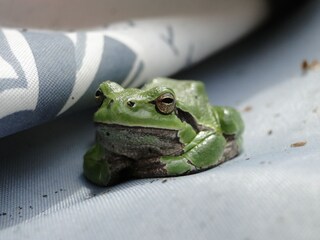 Appartamento per vacanze Groß Gievitz Ambiente 19