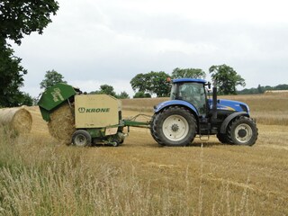 Appartamento per vacanze Groß Gievitz Ambiente 16