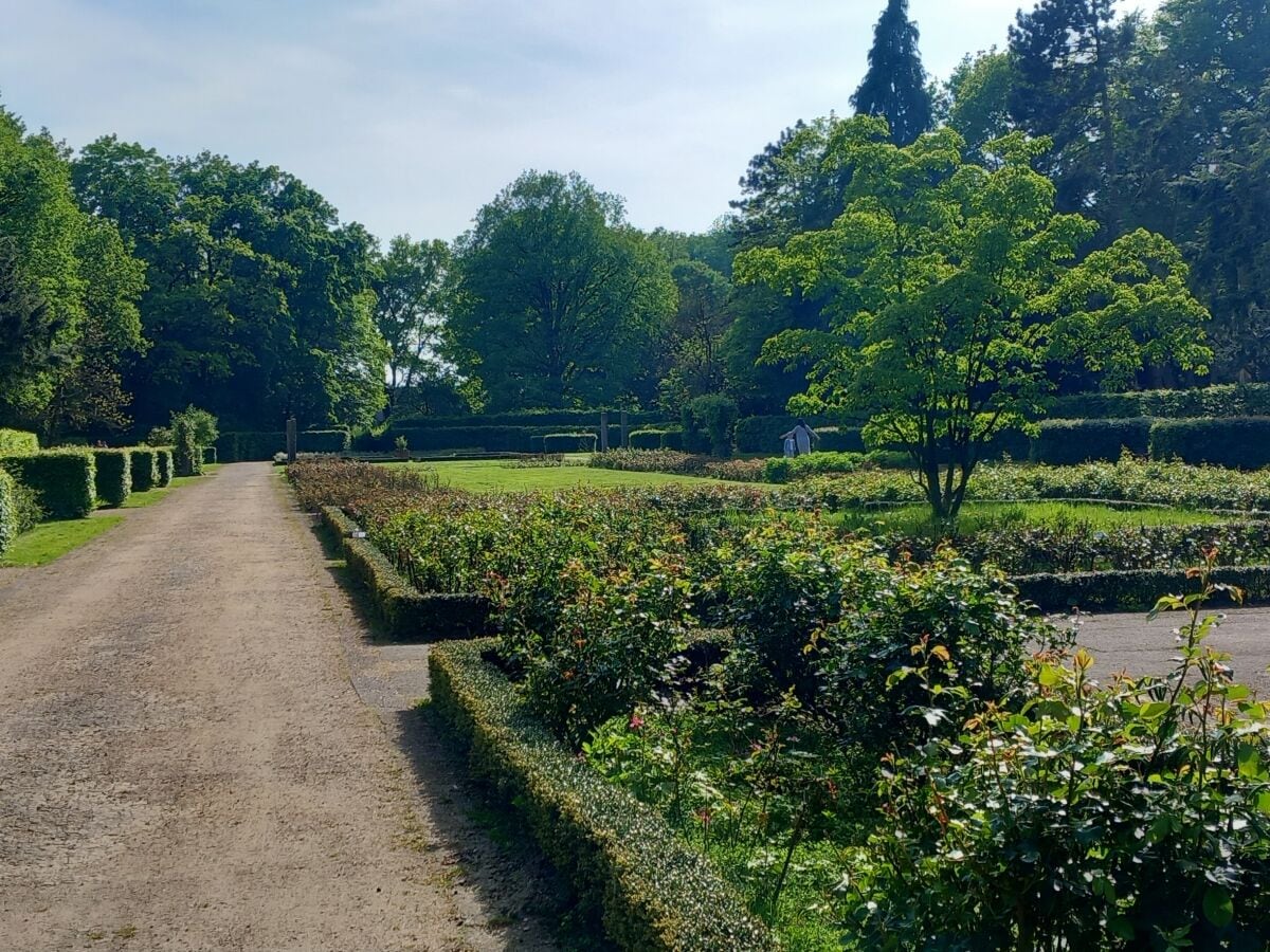 Rosengarten im Gesundheitspark Speckenbüttel