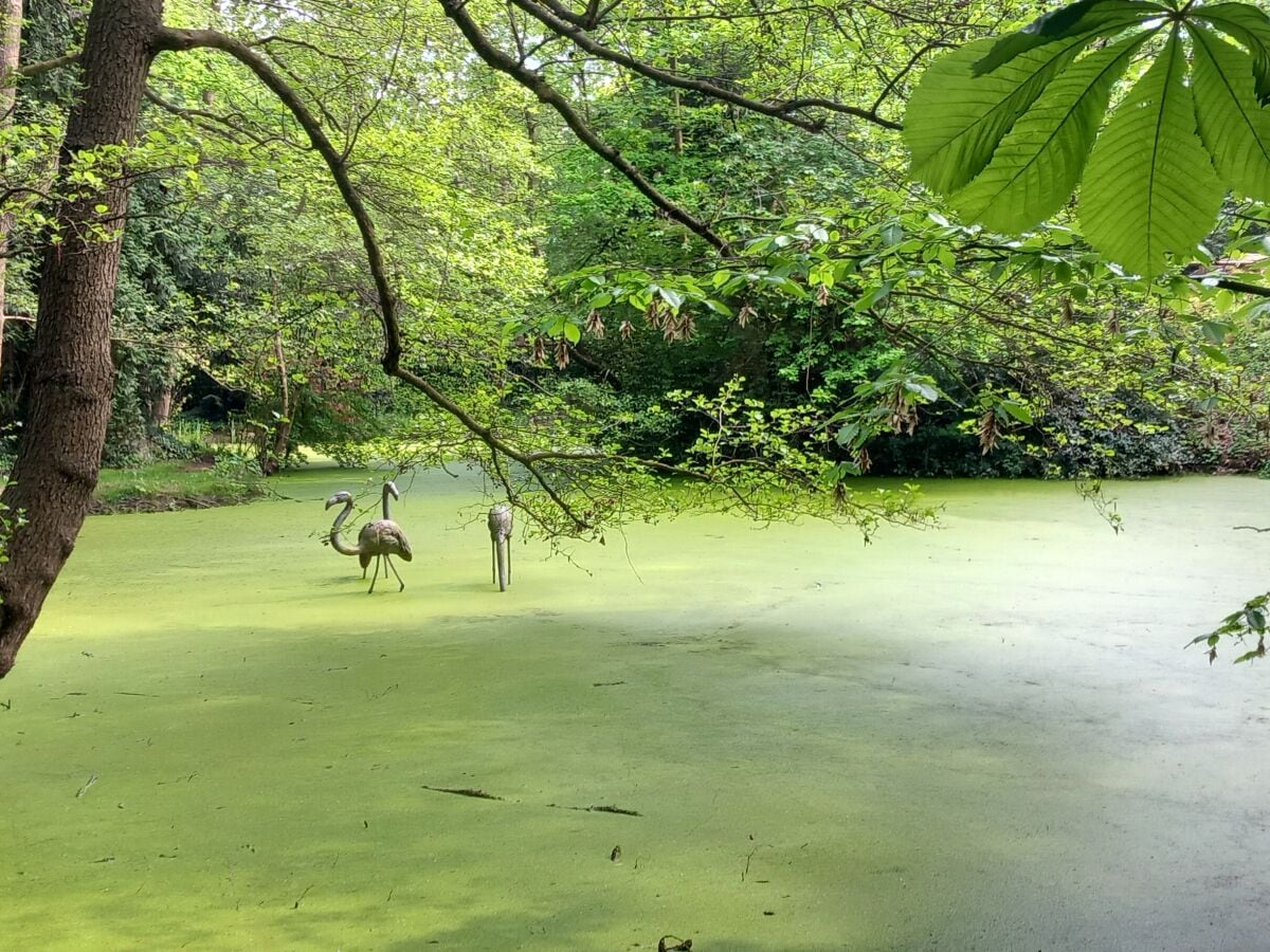 Skulpturenpark Thieles Garten