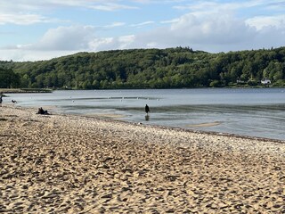 Blick vom Strand zum Wald in Dänemark