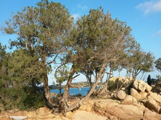 Parc de vacances Cannigione Environnement 29