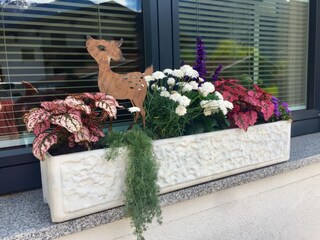 Vakantieappartement Ramsau im Zillertal Buitenaudio-opname 9