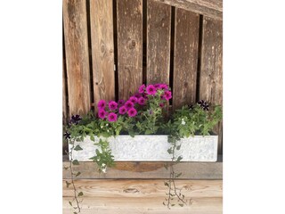 Vakantieappartement Ramsau im Zillertal Buitenaudio-opname 12