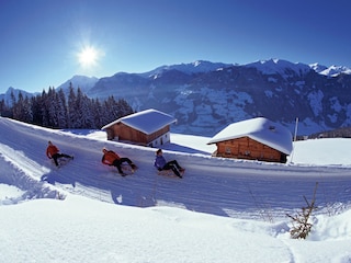 Rodeln - C: Zillertal TourismusgmbH - Ritschel