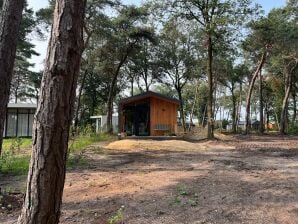 Holiday house Ferienhaus in Haarle, wunderschöne Umgebung. - Hellendoorn - image1