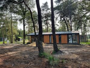 Luxe Vakantiehuis in Haarle, heerlijke omgeving. - Hellendoorn - image1