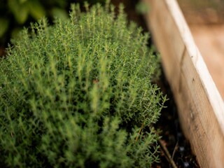 Casa per le vacanze Hellendoorn  34