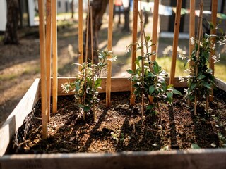 Maison de vacances Hellendoorn  34
