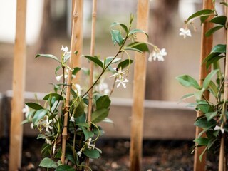 Casa per le vacanze Hellendoorn  35