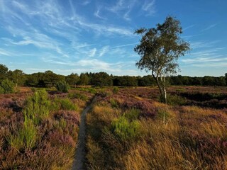 Casa per le vacanze Hellendoorn Ambiente 20