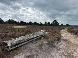 Casa per le vacanze Hellendoorn Ambiente 20