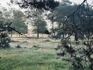 Maison de vacances Hellendoorn Environnement 24