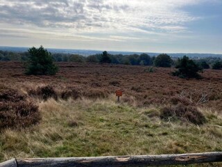 Ferienhaus Hellendoorn Umgebung 28