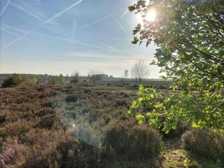 Vakantiehuis Hellendoorn Omgeving 22