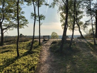 Casa per le vacanze Hellendoorn Ambiente 18