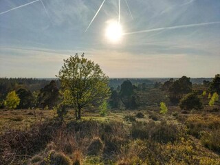 Casa per le vacanze Hellendoorn Ambiente 25