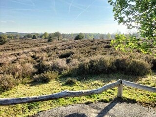 Vakantiehuis Hellendoorn Omgeving 16