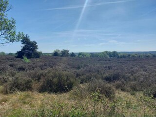 Maison de vacances Hellendoorn Environnement 16