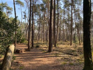 Vakantiehuis Hellendoorn Omgeving 18